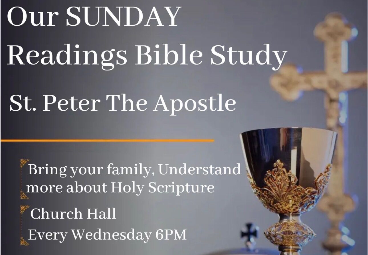 Catholic Bible study Carthage TN family friendly Bible study Catholic Scripture study group